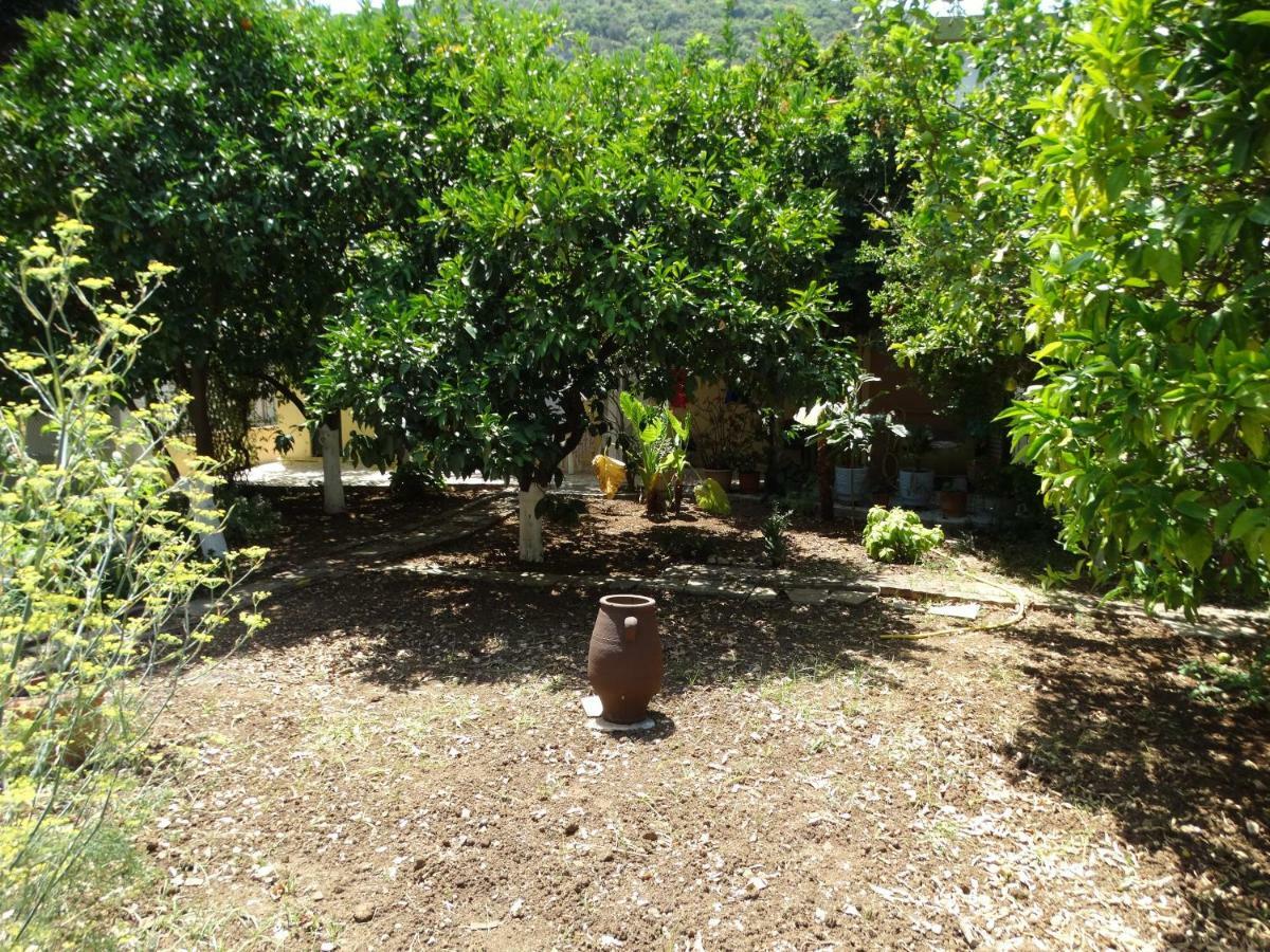 The Grapevine Rooms Poros  Exterior photo